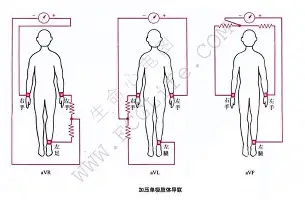 王楚钦联赛第二球细节曝光(王楚钦联赛第二球细节曝光视频)